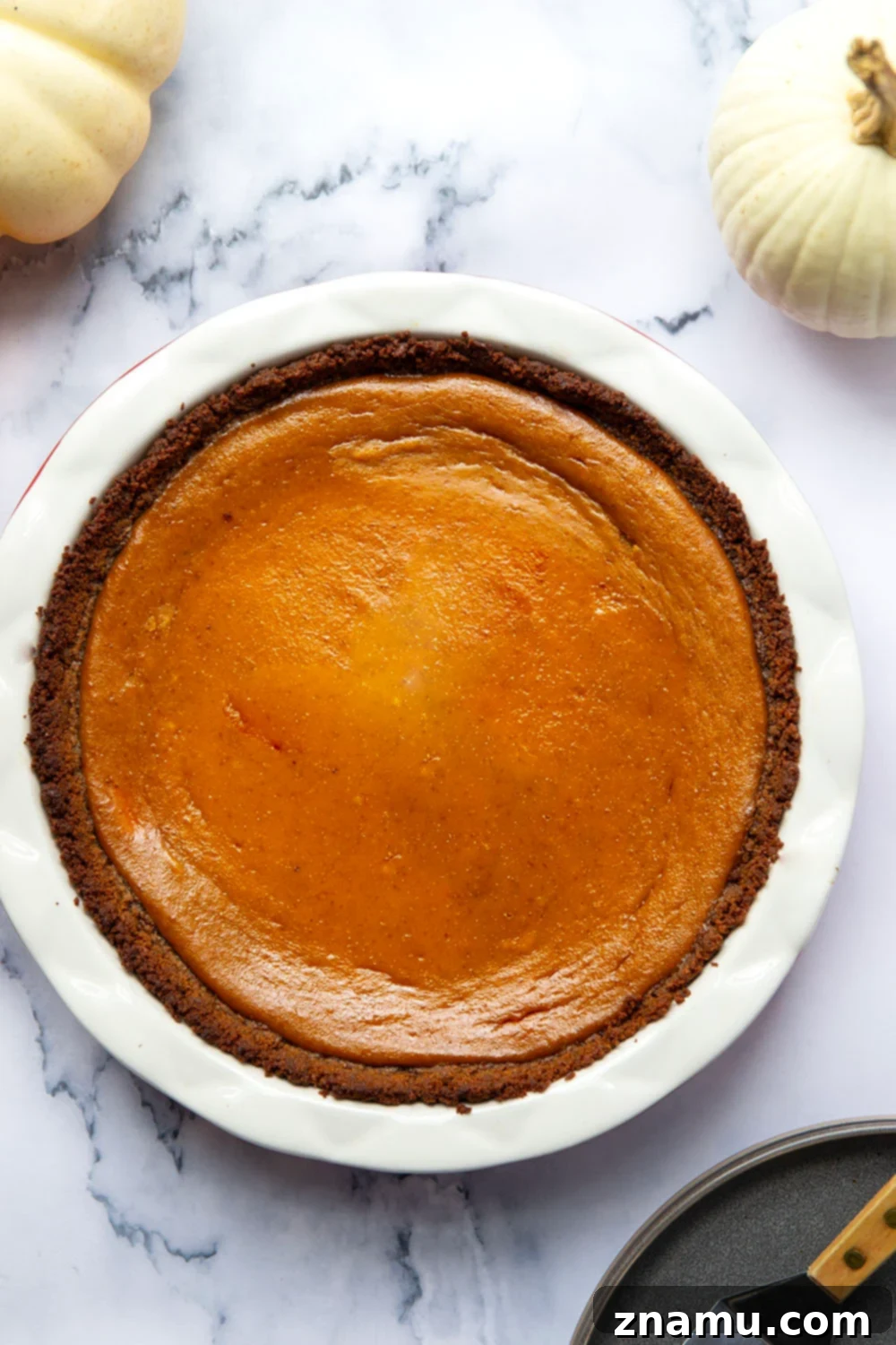 Harvest Pumpkin Cheesecake Delight 3 Close-up of a pumpkin cheesecake pie with layered fillings and a gingersnap crust.