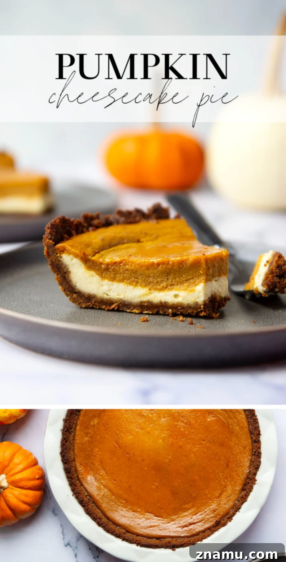 Harvest Pumpkin Cheesecake Delight 7 Close-up of a pumpkin cheesecake pie slice with whipped cream.