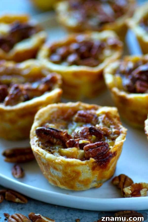 Caramel Apple Pecan Mini Pies 3 Close-up of baked Mini Caramel Apple Pecan Pies in a muffin tin