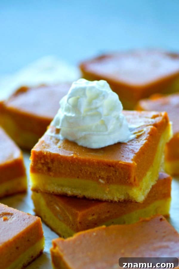 Spiced Bourbon Pumpkin Cookie Bars 2 Delicious Sugar Cookie Bourbon Pumpkin Pie Bars ready for holiday feasting, topped with whipped cream and a hint of spice.