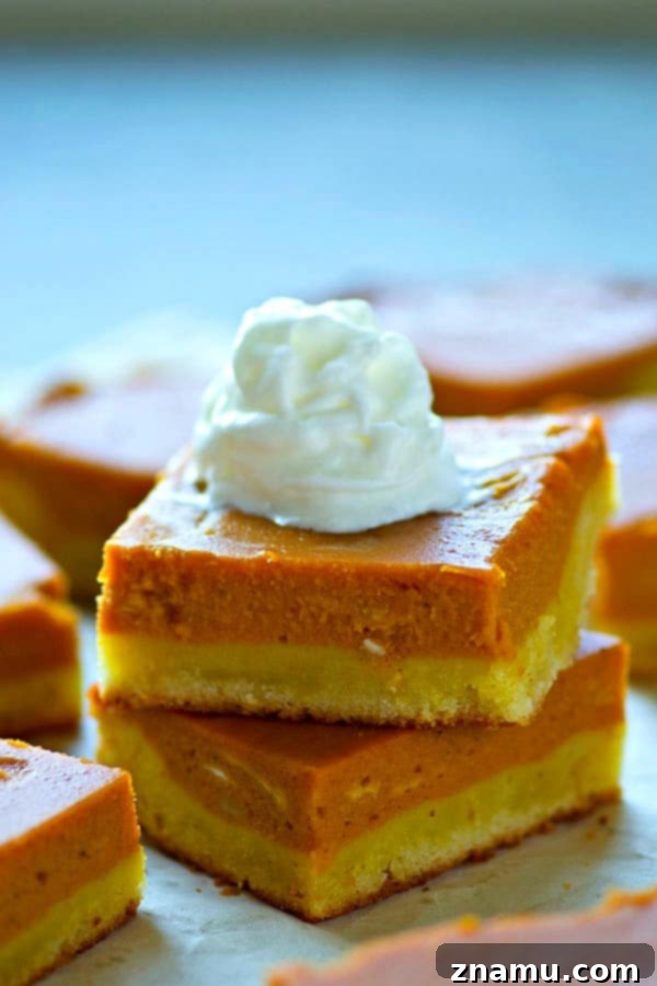 Spiced Bourbon Pumpkin Cookie Bars 4 The layered components of Sugar Cookie Bourbon Pumpkin Pie Bars before baking, showing the cookie crust and wet pumpkin filling.