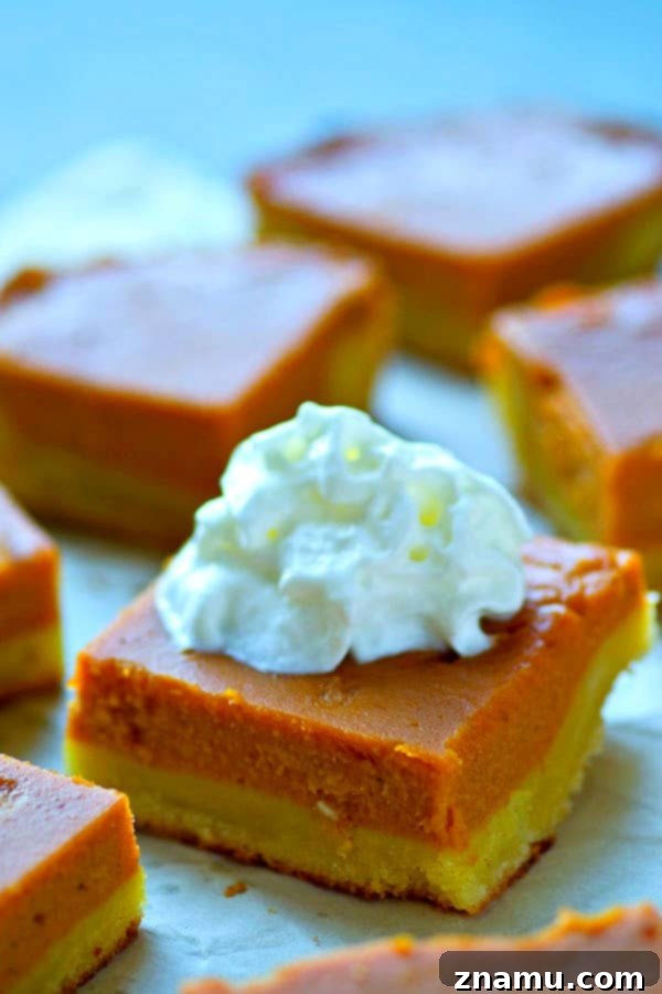 Spiced Bourbon Pumpkin Cookie Bars 5 A perfectly sliced Sugar Cookie Bourbon Pumpkin Pie Bar, showing its clean layers and inviting texture.
