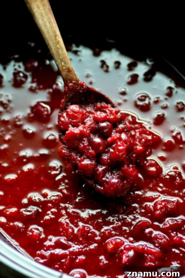 Slow Cooker Ginger Cranberry Apple Sauce 4 All ingredients loaded into the slow cooker for an easy cranberry sauce recipe