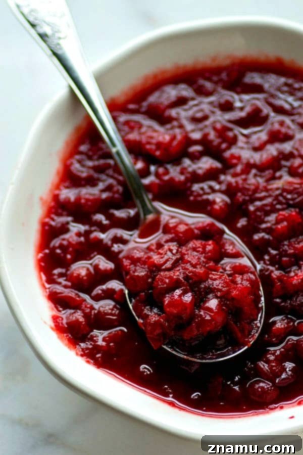 Slow Cooker Ginger Cranberry Apple Sauce 5 Finished crockpot gingered apple cranberry sauce simmering in a slow cooker
