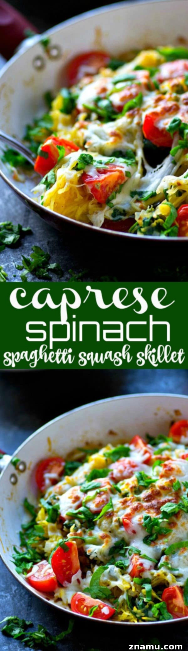 Vibrant Caprese Squash Skillet 6 A perfectly plated serving of Caprese Spinach Spaghetti Squash Skillet, garnished with fresh basil.