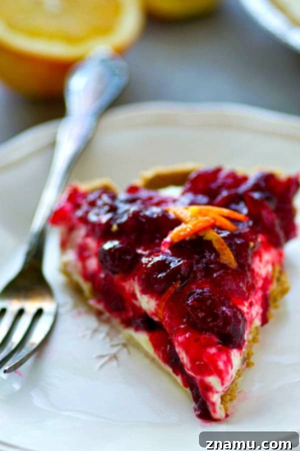 Zesty Cranberry Orange Cheesecake Pie 3 Close-up of a slice of cranberry orange cheesecake pie, showcasing its creamy texture and vibrant topping.