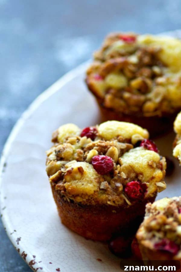 Deliciously moist Cranberry Lemon Walnut Crumb Muffins with a generous streusel topping, perfect for holiday gatherings.