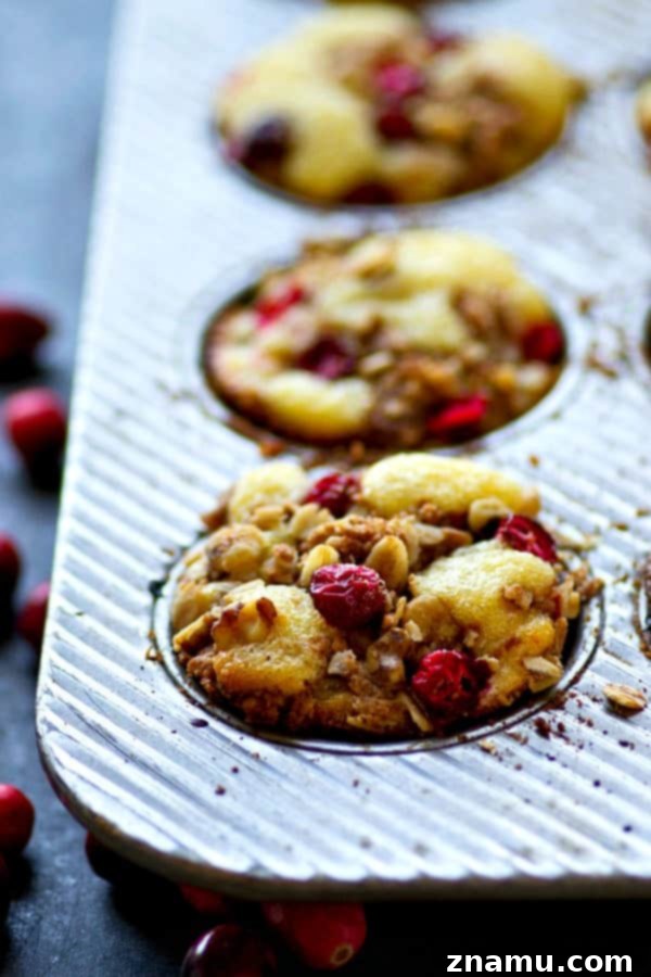 A close-up of a Cranberry Lemon Walnut Crumb Muffin, showcasing the fluffy interior and the delightful crumble on top.
