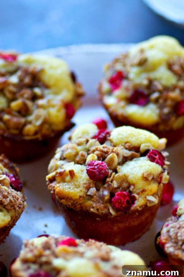 Freshly baked Cranberry Lemon Walnut Crumb Muffins cooling on a rack, highlighting their golden crusts and generous toppings.