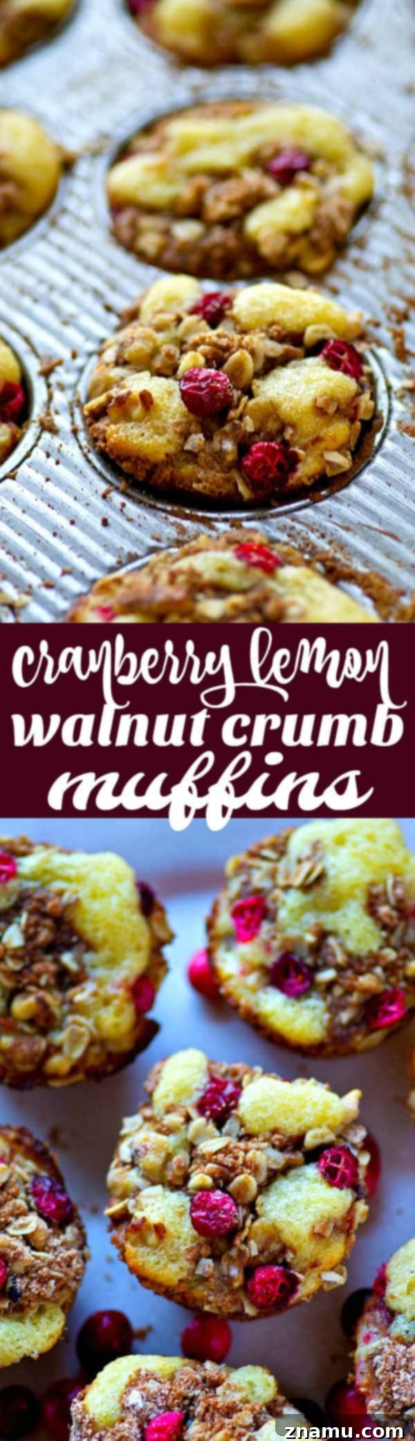 Overhead shot of freshly baked Cranberry Lemon Walnut Crumb Muffins on a wire rack, ready to be enjoyed.