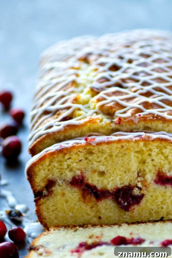 Almond Pound Cake with Cranberry Swirl 4 A glorious slice of cranberry swirl almond pound cake on a white plate, showcasing its moist texture and beautiful crimson fruit swirls.