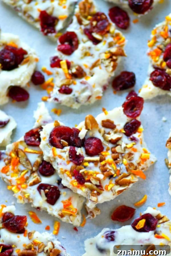 Artisan White Chocolate Bark with Bright Orange, Tart Cranberry, and Toasted Pecans 5 Hand breaking apart set White Chocolate Pecan Orange Cranberry Bark