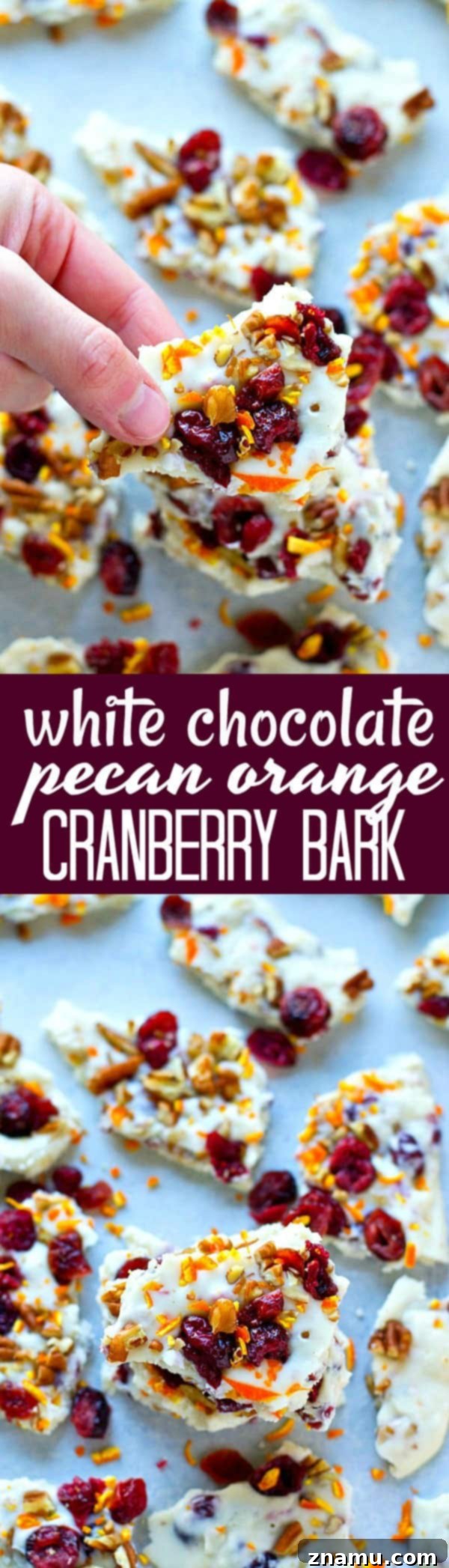 Artisan White Chocolate Bark with Bright Orange, Tart Cranberry, and Toasted Pecans 6 A large slab of White Chocolate Pecan Orange Cranberry Bark ready to be broken