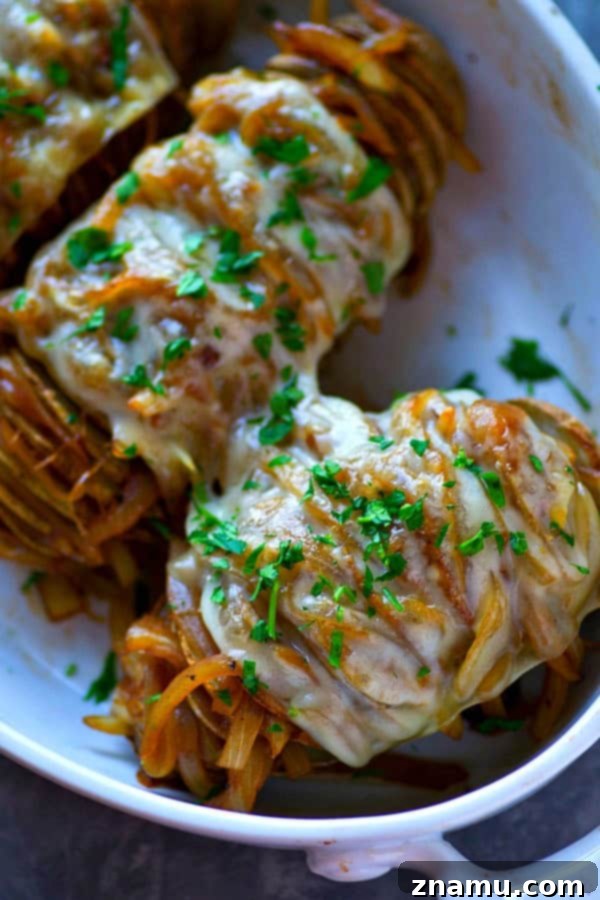 Loaded French Onion Hasselback Potatoes 5 Hasselback French Onion Soup Baked Potatoes fresh from the broiler, cheese melted and bubbly