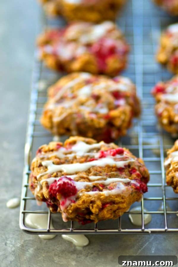 Dreamy Raspberry Cheesecake Breakfast Cookies 5 Hand holding a Raspberry Cheesecake Breakfast Cookie with visible glaze and raspberries.