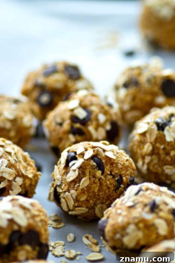Chocolate Chip Oat Power Balls 2 Delicious oatmeal chocolate chip energy bites neatly arranged on a plate.