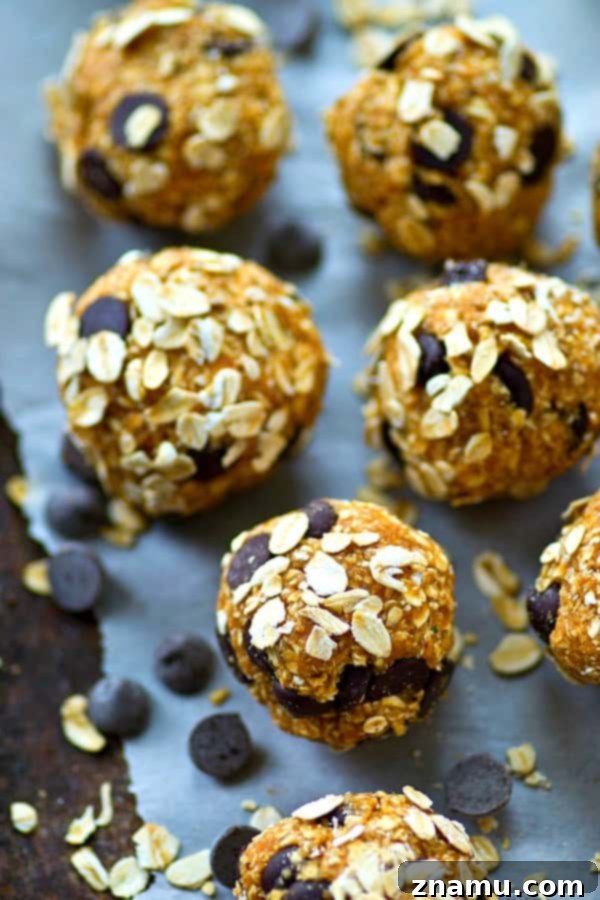 Chocolate Chip Oat Power Balls 3 A close-up of healthy oatmeal chocolate chip energy bites with ingredients in the background.