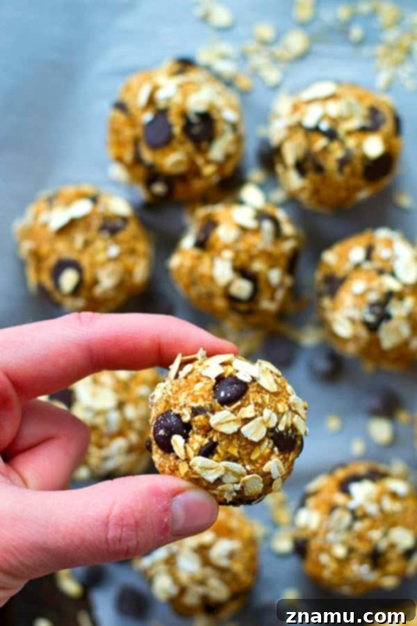 Chocolate Chip Oat Power Balls 4 Freshly made oatmeal chocolate chip cookie energy bites being scooped from a bowl.