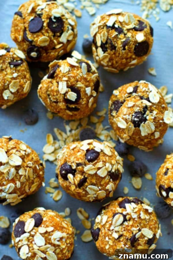 Chocolate Chip Oat Power Balls 5 Hand holding a perfectly round oatmeal chocolate chip energy bite.