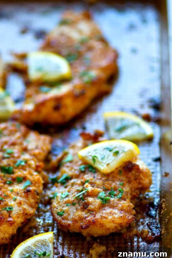 Golden-Crisp Lemon Parmesan Oven-Fried Chicken Tenders 5 A plate of perfectly cooked lemon Parmesan oven-fried chicken tenders, garnished with fresh parsley.