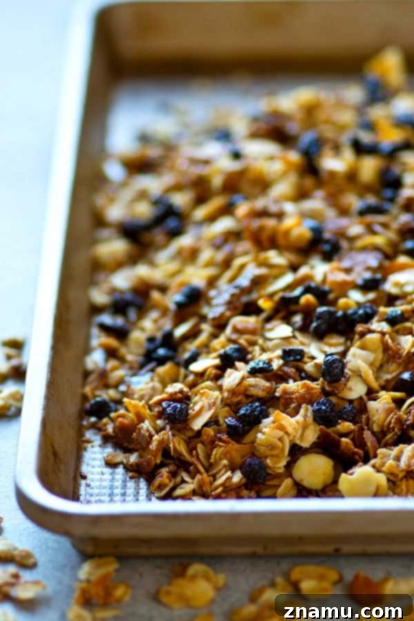 Huge clusters and tons of dried blueberries star in this INSANELY addicting blueberry muffin almond granola.---It's amazing with greek yogurt or just by the handful!