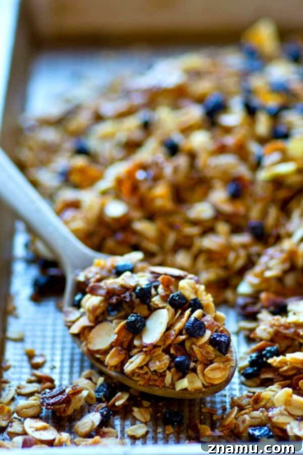 Huge clusters and tons of dried blueberries star in this INSANELY addicting blueberry muffin almond granola.---It's amazing with greek yogurt or just by the handful!