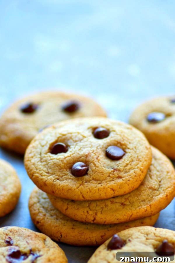 Artisan Thin and Crispy Chocolate Chip Cookies 3 Close-up of a stack of thin and crispy chocolate chip cookies with melted chocolate.