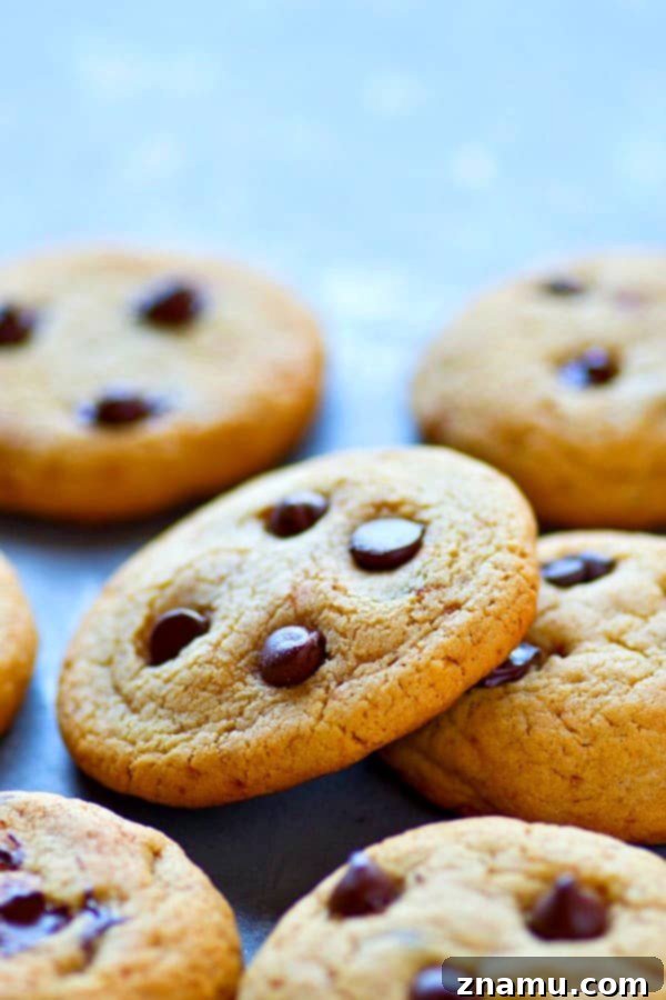 Artisan Thin and Crispy Chocolate Chip Cookies 5 Hand reaching for a perfect thin and crispy chocolate chip cookie.