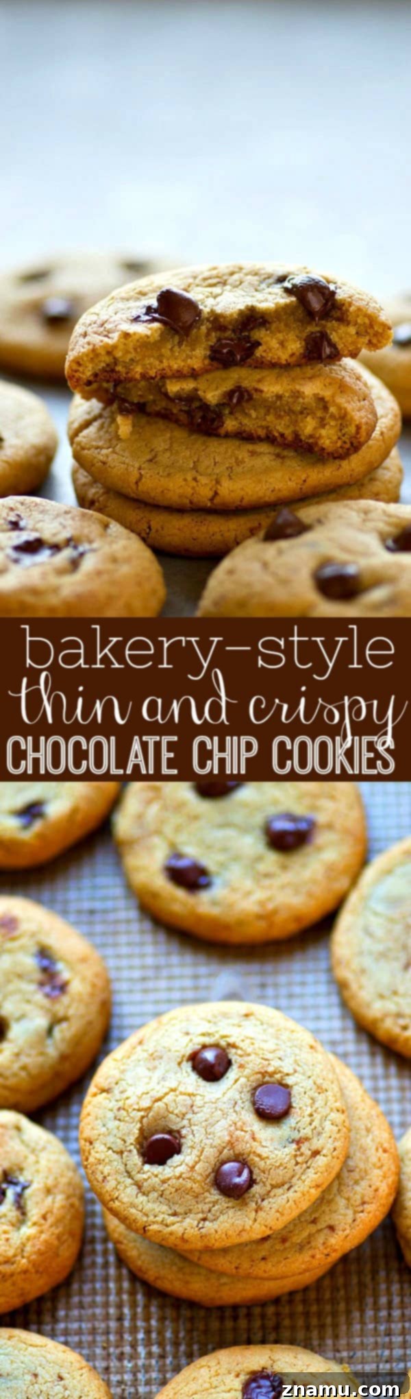 Artisan Thin and Crispy Chocolate Chip Cookies 6 Thin and crispy chocolate chip cookies in a cookie jar.