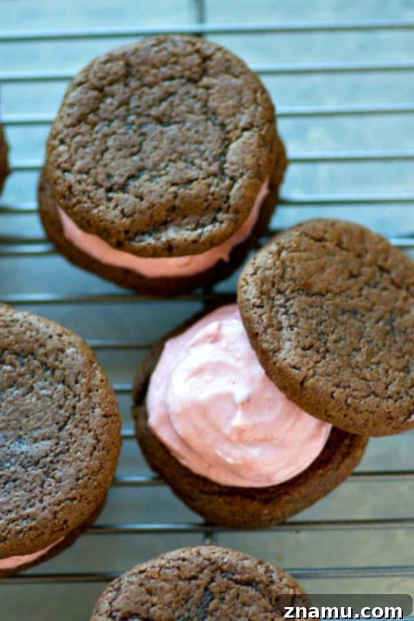 Raspberry Cheesecake Stuffed Chocolate Cookies 4 Closeup of a single raspberry cheesecake chocolate sandwich cookie, highlighting the smooth texture of the chocolate cookie and the vibrant, creamy raspberry filling.