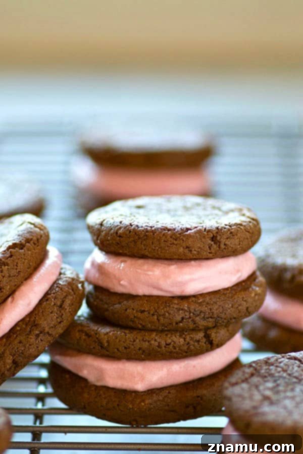 Raspberry Cheesecake Stuffed Chocolate Cookies 5 A beautifully arranged plate of multiple raspberry cheesecake chocolate sandwich cookies, ready to be served or savored.