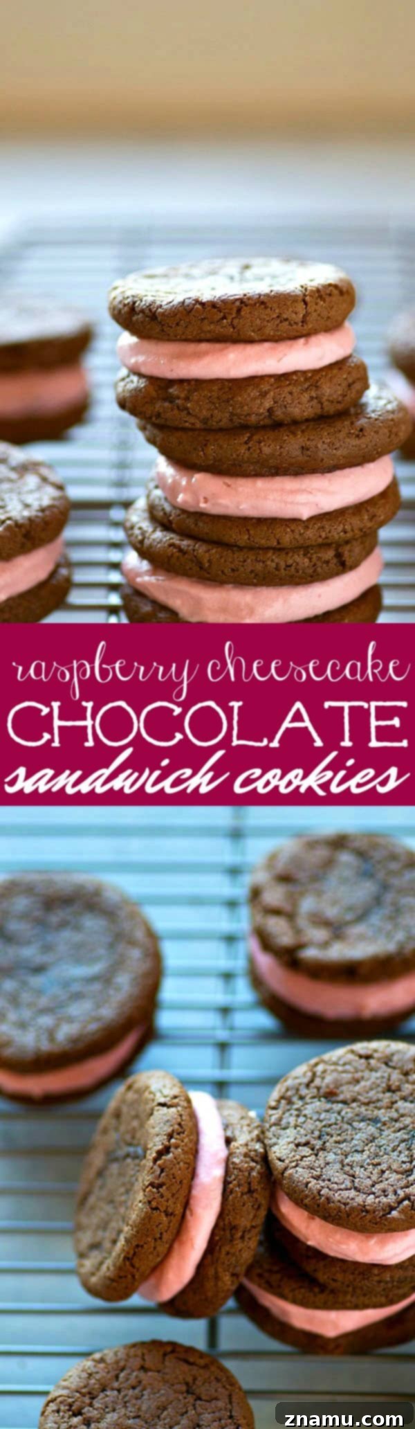 Raspberry Cheesecake Stuffed Chocolate Cookies 6 A close-up of a single cookie split open, showcasing the thick, smooth pink raspberry cheesecake filling and the soft, dark chocolate cookie texture.