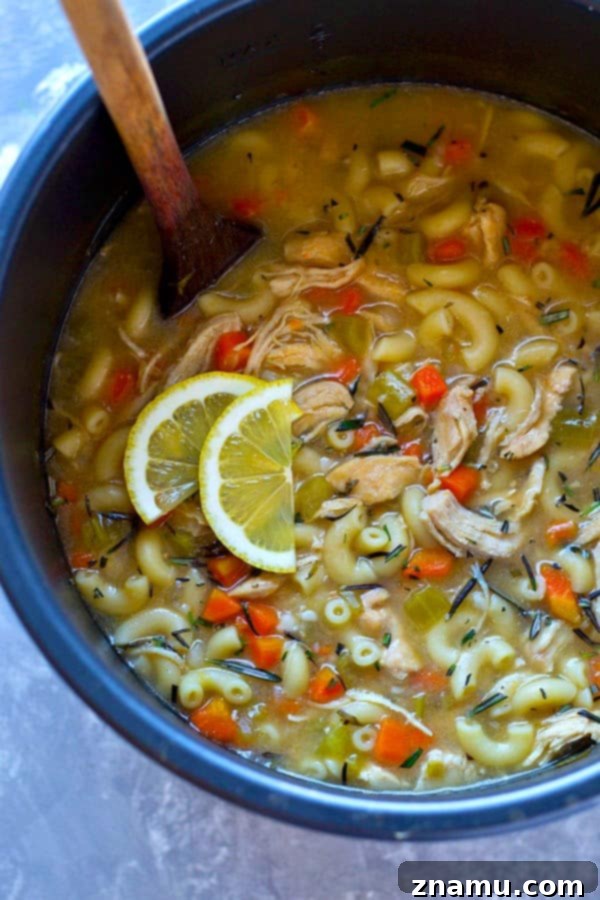 Instant Pot Zesty Lemon Rosemary Chicken Noodle Soup 3 Instant Pot Lemon Rosemary Chicken Noodle Soup with fresh ingredients