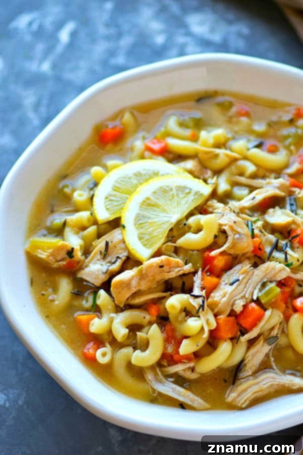 Instant Pot Zesty Lemon Rosemary Chicken Noodle Soup 4 Close-up of Instant Pot Chicken Noodle Soup with rosemary sprigs