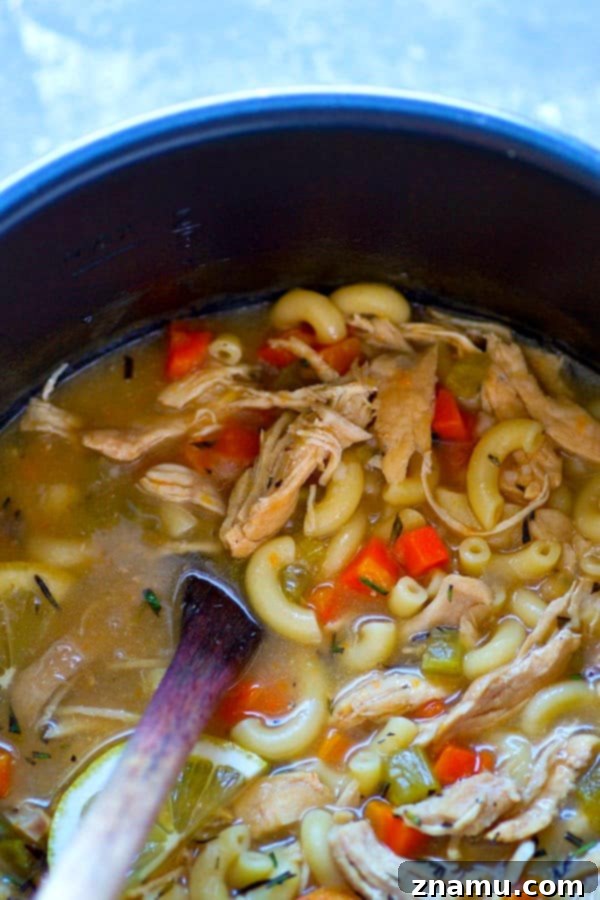 Instant Pot Zesty Lemon Rosemary Chicken Noodle Soup 5 Serving Instant Pot Lemon Rosemary Chicken Noodle Soup into a bowl