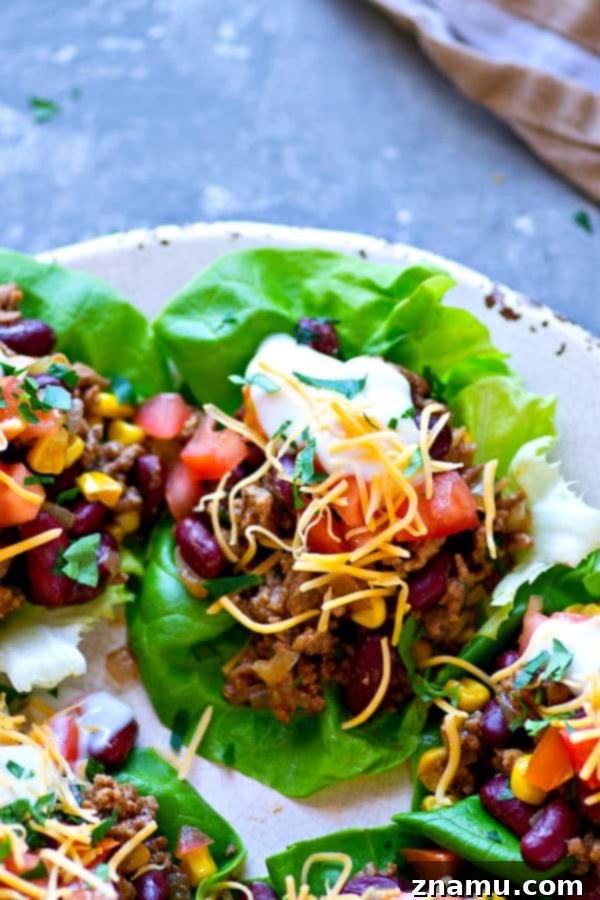 Bold Beef Taco Lettuce Bundles 5 A vibrant bowl of spicy ground beef taco filling with kidney beans, sweet corn, and fresh herbs, ready to be scooped into crisp lettuce wraps.