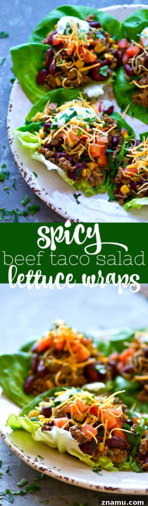 Bold Beef Taco Lettuce Bundles 6 Overhead shot of two fully assembled Spicy Beef Taco Salad Lettuce Wraps with fresh lime wedges and cilantro garnish on a white plate.