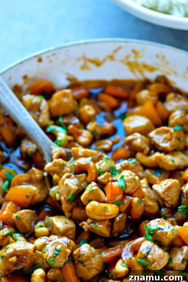 Zesty Ginger Cashew Chicken Stir-Fry with Sweet Peppers 2 Vibrant Sweet Pepper Ginger Cashew Chicken Stir-Fry served over a bed of fluffy white rice