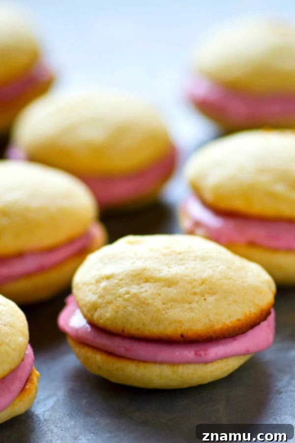 Vanilla Raspberry Cheesecake Whoopie Dreams 4 An array of vanilla raspberry whoopie pies displayed elegantly on a cooling rack