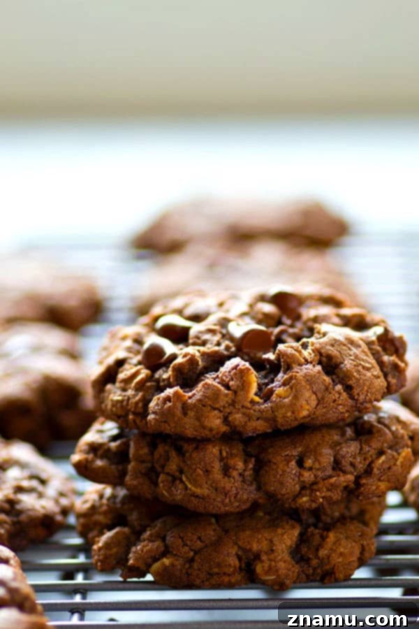 Decadent Double Chocolate Oatmeal Chews 2 Double the amount of chocolate and INCREDIBLY soft and chewy, these double chocolate oatmeal cookies are crazy addicting and everyone who tries them will beg for the recipe!