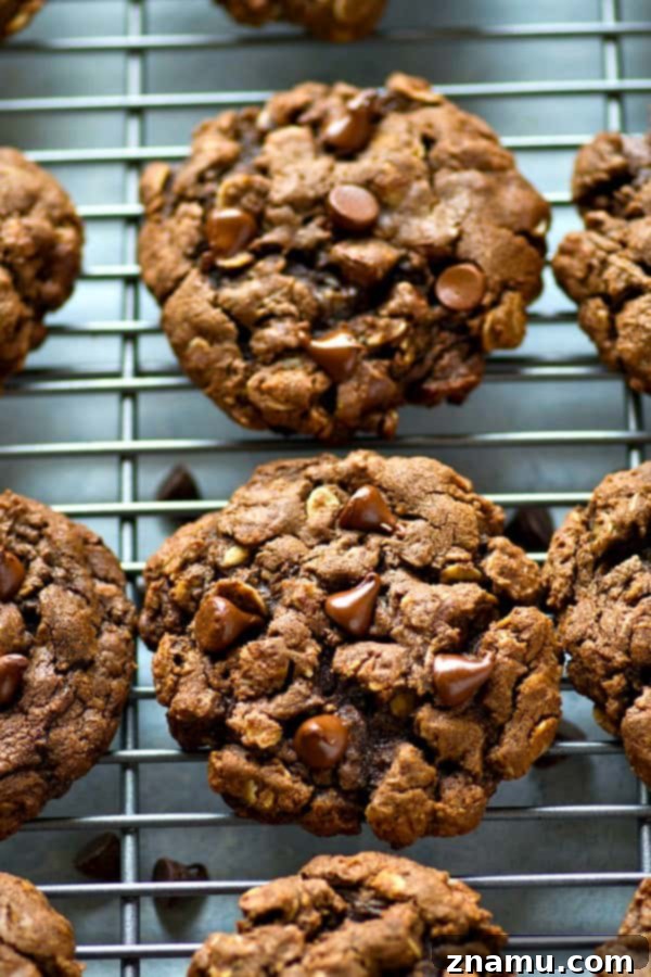 Decadent Double Chocolate Oatmeal Chews 3 Double the amount of chocolate and INCREDIBLY soft and chewy, these double chocolate oatmeal cookies are crazy addicting and everyone who tries them will beg for the recipe!