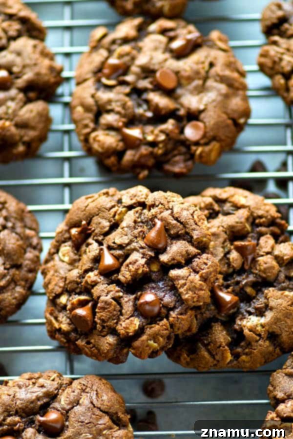 Decadent Double Chocolate Oatmeal Chews 4 Double the amount of chocolate and INCREDIBLY soft and chewy, these double chocolate oatmeal cookies are crazy addicting and everyone who tries them will beg for the recipe!