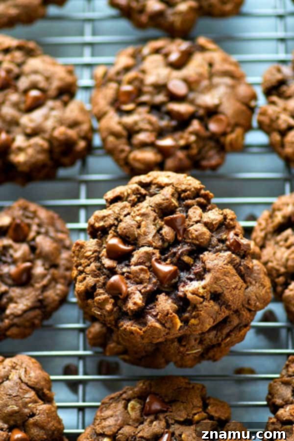 Decadent Double Chocolate Oatmeal Chews 5 Double the amount of chocolate and INCREDIBLY soft and chewy, these double chocolate oatmeal cookies are crazy addicting and everyone who tries them will beg for the recipe!