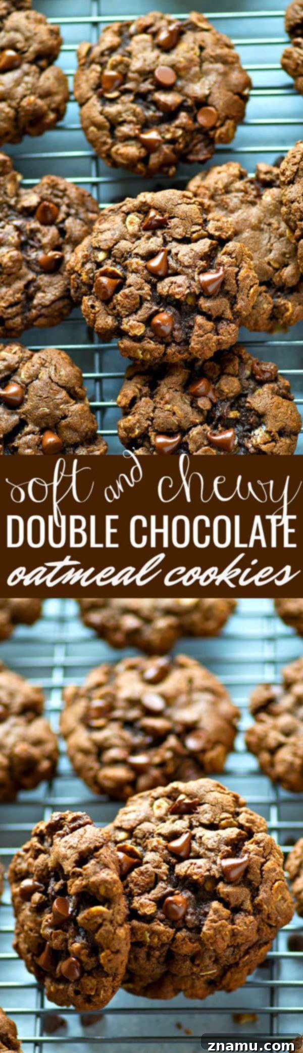 Decadent Double Chocolate Oatmeal Chews 6 Double the amount of chocolate and INCREDIBLY soft and chewy, these double chocolate oatmeal cookies are crazy addicting and everyone who tries them will beg for the recipe!