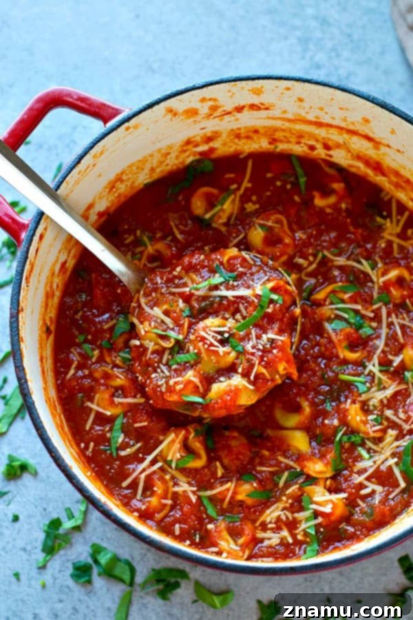 Velvety Tomato Basil Tortellini Soup with Fresh Basil 2 Rich and creamy tortellini basil tomato soup, an easy one-pot meal perfect for any season.