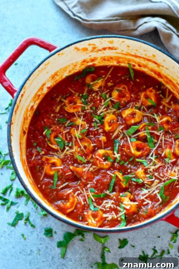 Velvety Tomato Basil Tortellini Soup with Fresh Basil 5 Overhead shot of creamy tortellini basil tomato soup, showing its rich texture and steam.