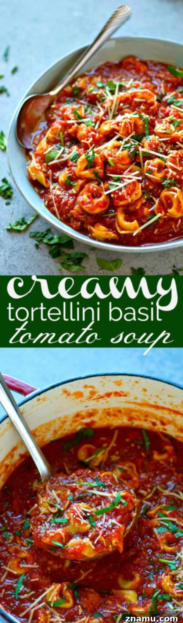 Velvety Tomato Basil Tortellini Soup with Fresh Basil 6 Large bowl of creamy tortellini basil tomato soup with a spoon, highlighting the texture.