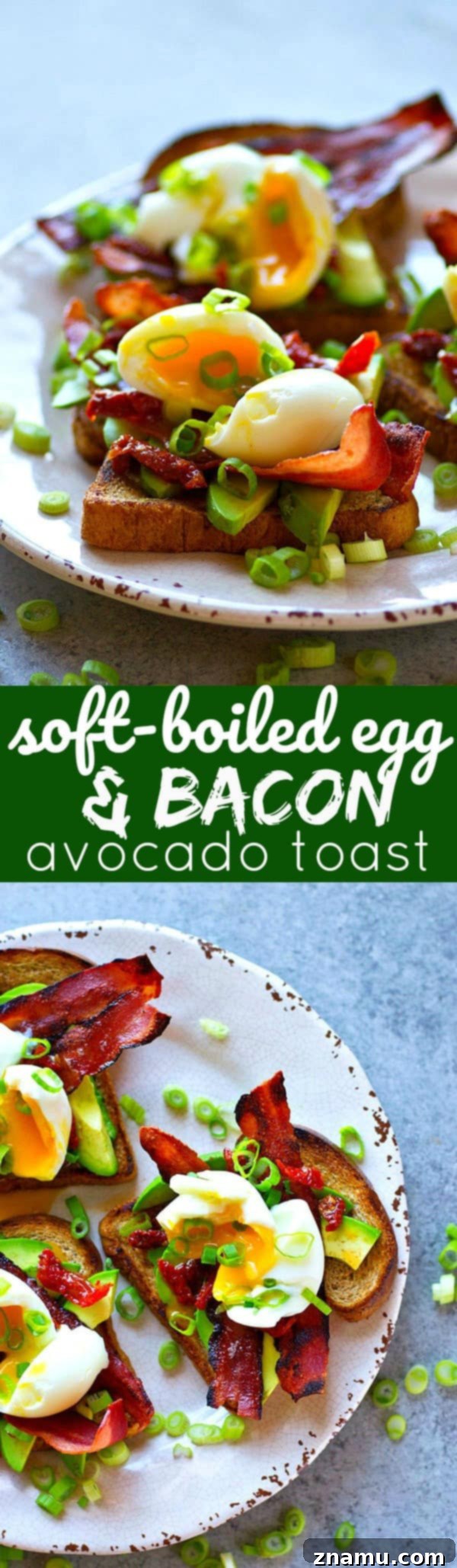 Soft Boiled Egg and Bacon Avocado Toast 6 Piled high with beautiful soft-boiled eggs and lots of crispy bacon, this bacon avocado toast is an absolute BREEZE to throw together and the ultimate stunner breakfast!