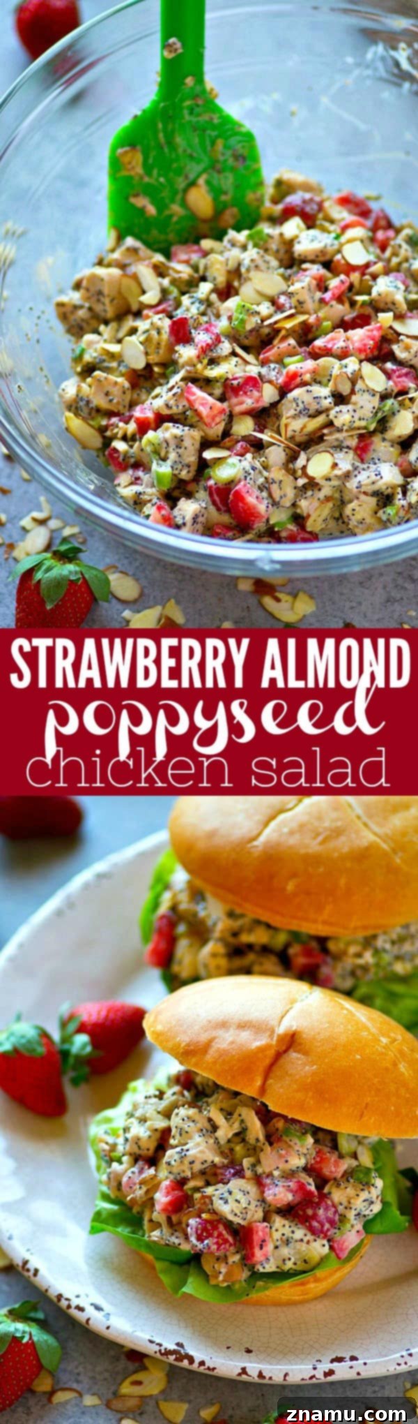 Toasted Almond Poppyseed Chicken Salad with Sweet Strawberries 6 Juicy strawberries and crunchy almonds and poppyseeds make for the BEST trio in this gorgeous and incredibly easy strawberry almond poppyseed chicken salad! Perfect for any spring gathering.