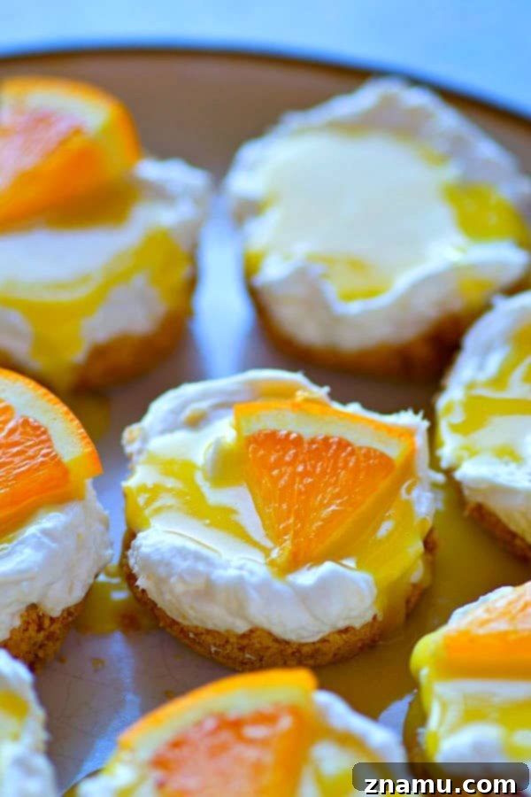 Tangy Orange No-Bake Cheesecake Bites 2 These creamy orange curd mini cheesecakes are completely no-bake and can be prepped within minutes! A tangy homemade orange curd on top makes them irresistible.